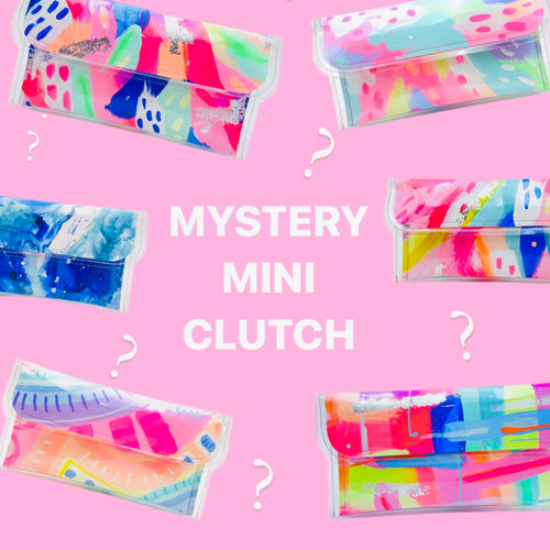 MYSTERY Mini Clutch (normally $75)